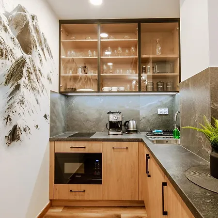 Tatra View 2 Ksiezycowe 아파트 자코파네